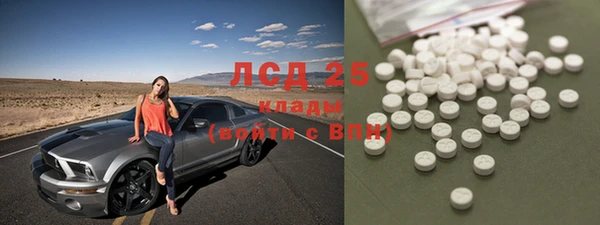 тгк Алзамай