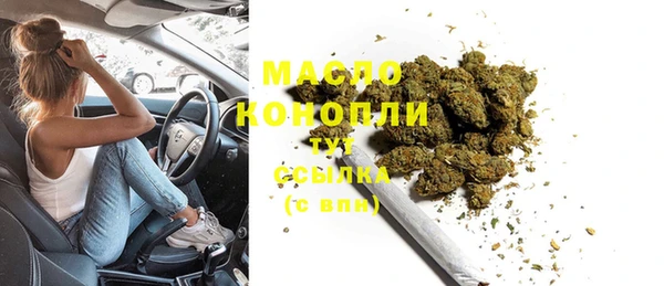 тгк Алзамай