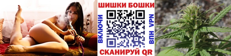 Бошки Шишки ГИДРОПОН Сенгилей